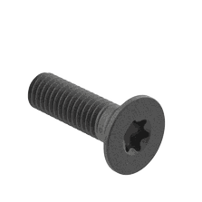 M-Brace Accessory Screw, T25, M5-0.8x16