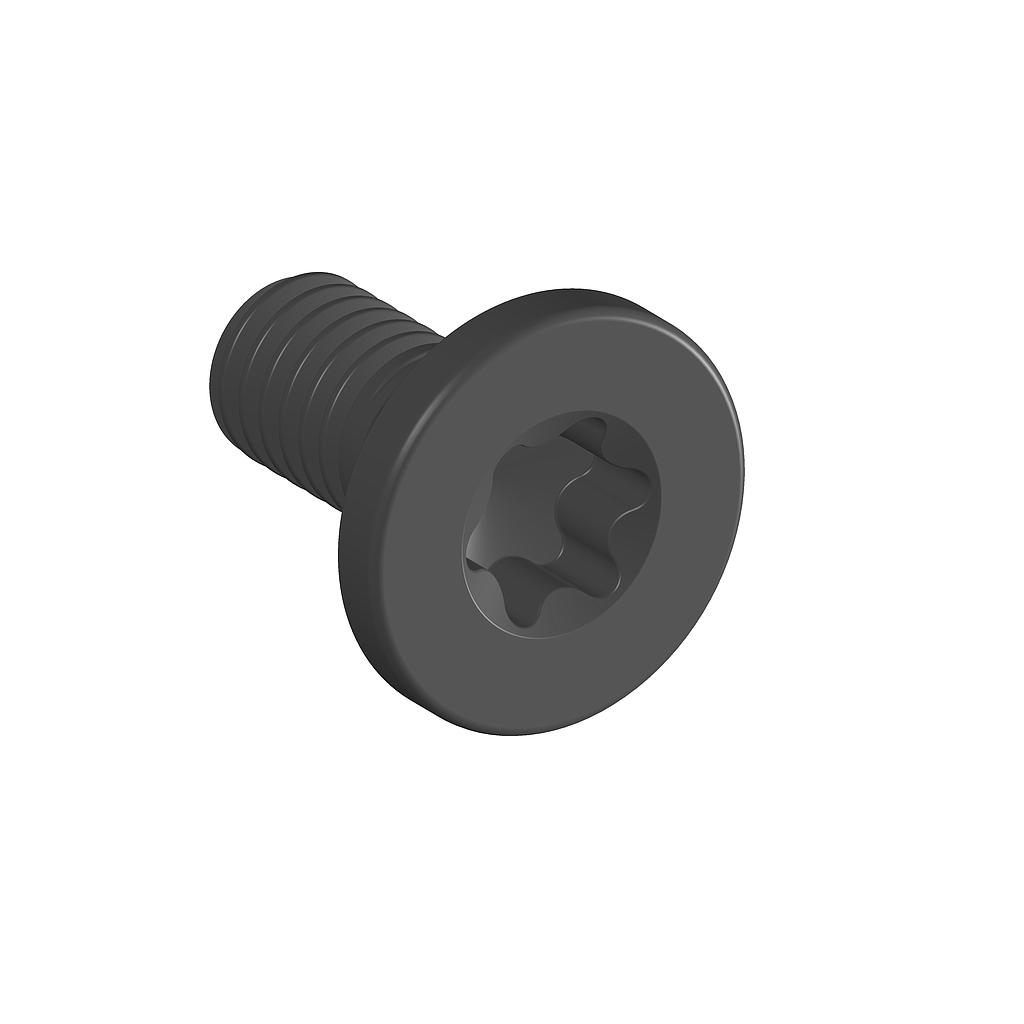 Rail Screw, T25 Countersunk